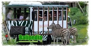 safari journey trip bali